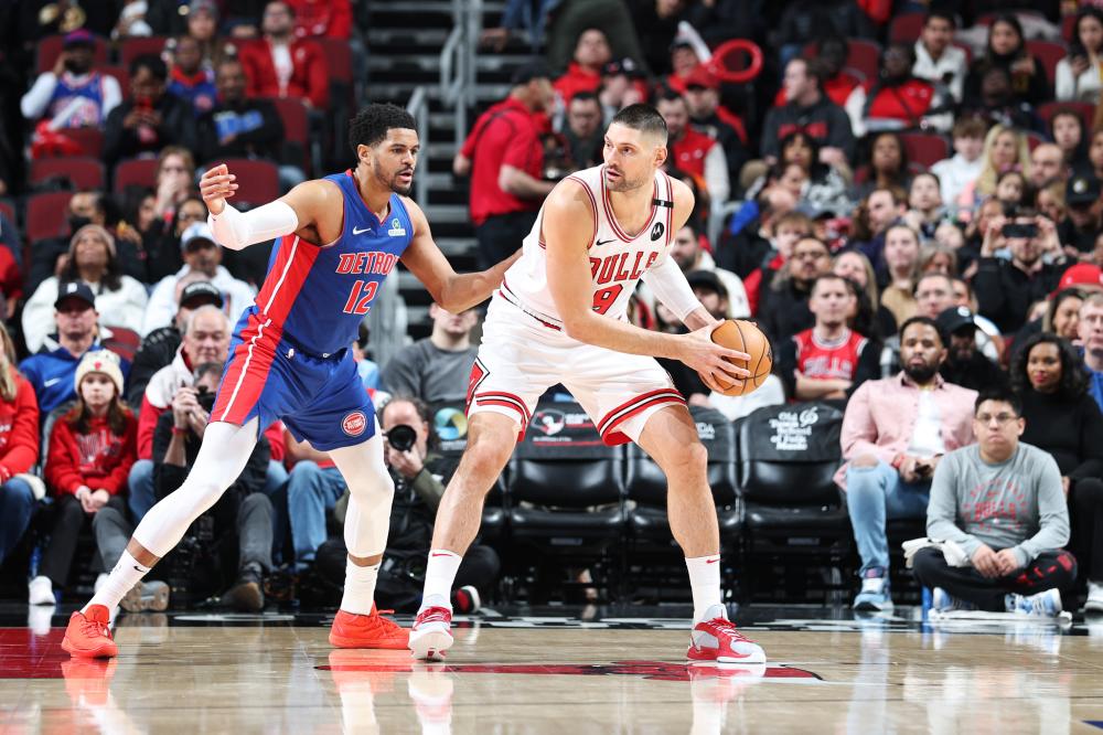 这对中国羽 这对中国羽